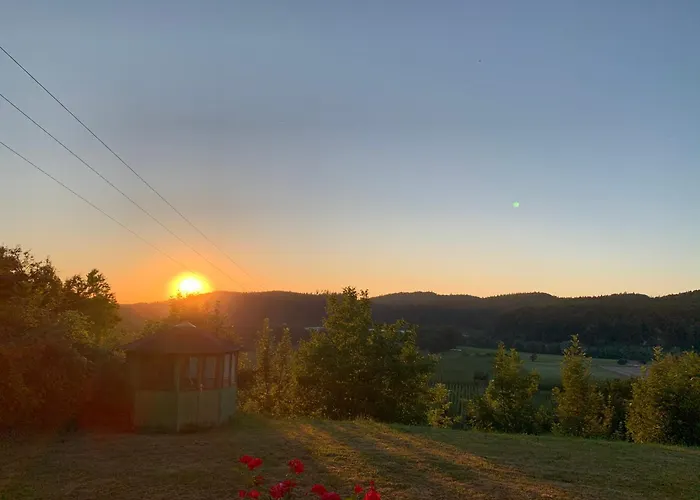 Einzigartiger Panoramablick Nahe Bodensee Und Messe
