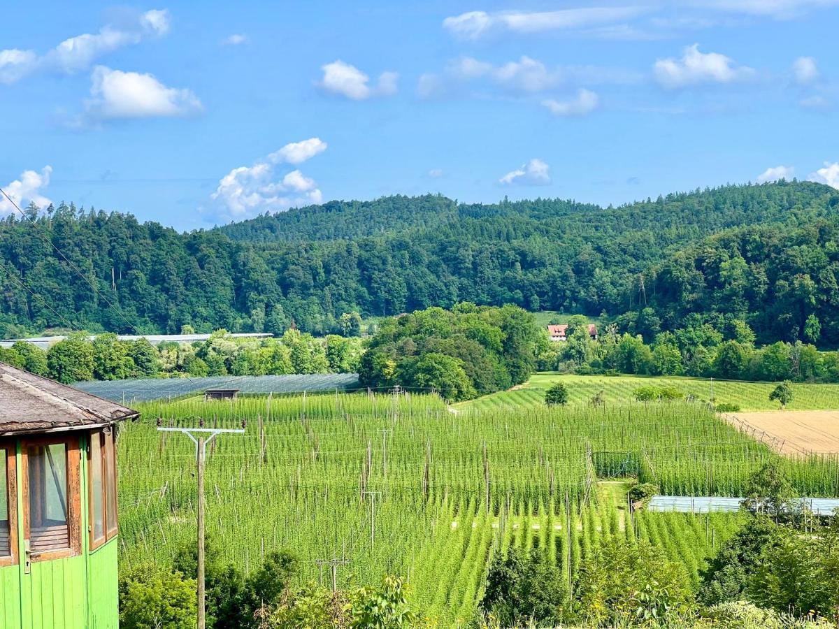 Einzigartiger Panoramablick Nahe Bodensee Und Messe *